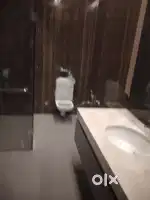 Dream real Estate