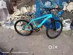 Leader cycle
