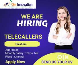 Customer support executive