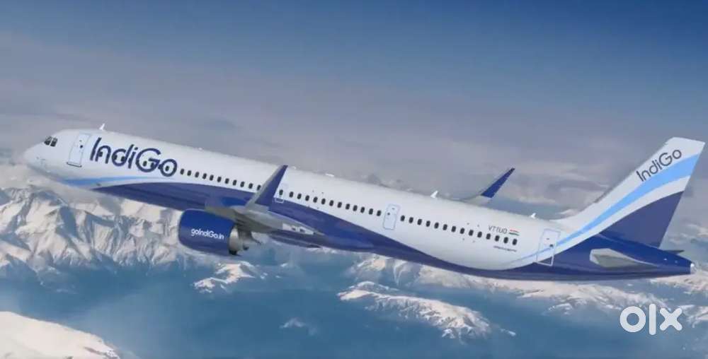 We are for the Indigo airlines. Fresher can apply urgent Hiring