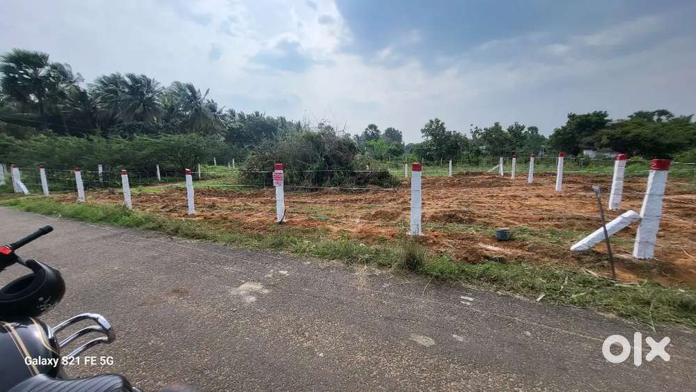 ஆய்க்குடி அகர கட்டு மெயின் ரோட்டில்