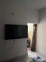Looking for a girl roommate