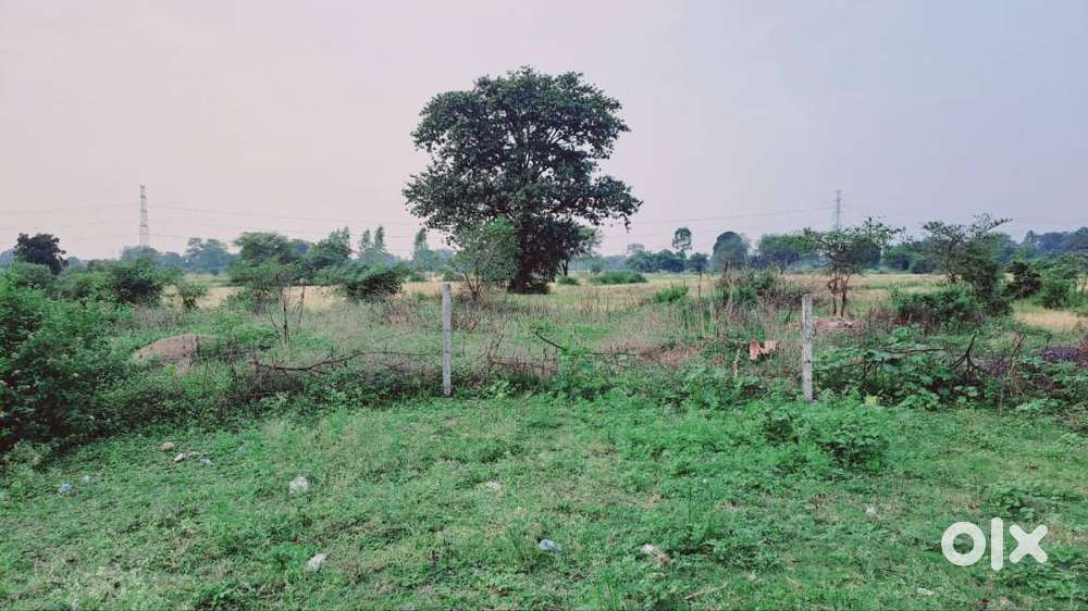 Ring road commercial plots