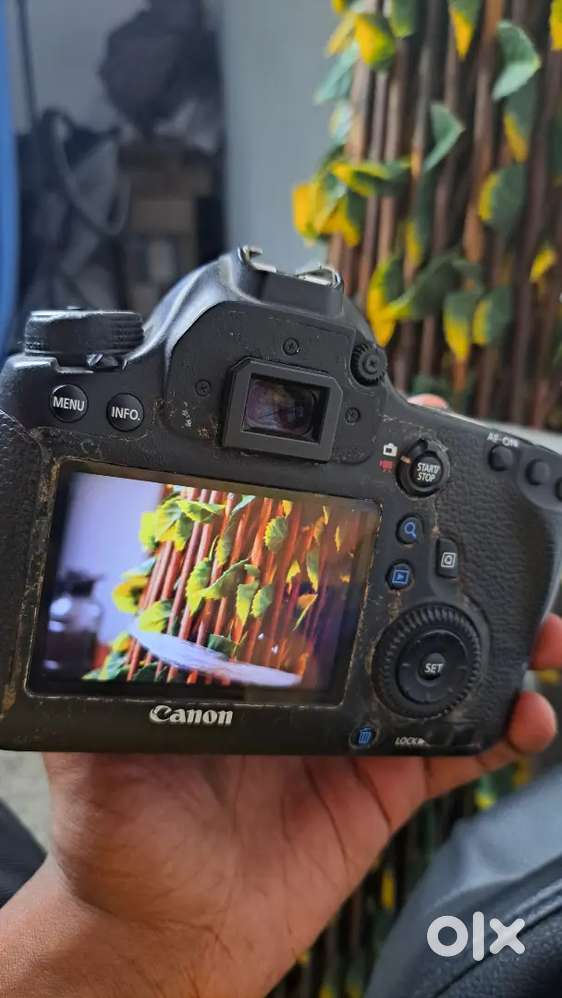 Canon 6D camera and 50mm Lence