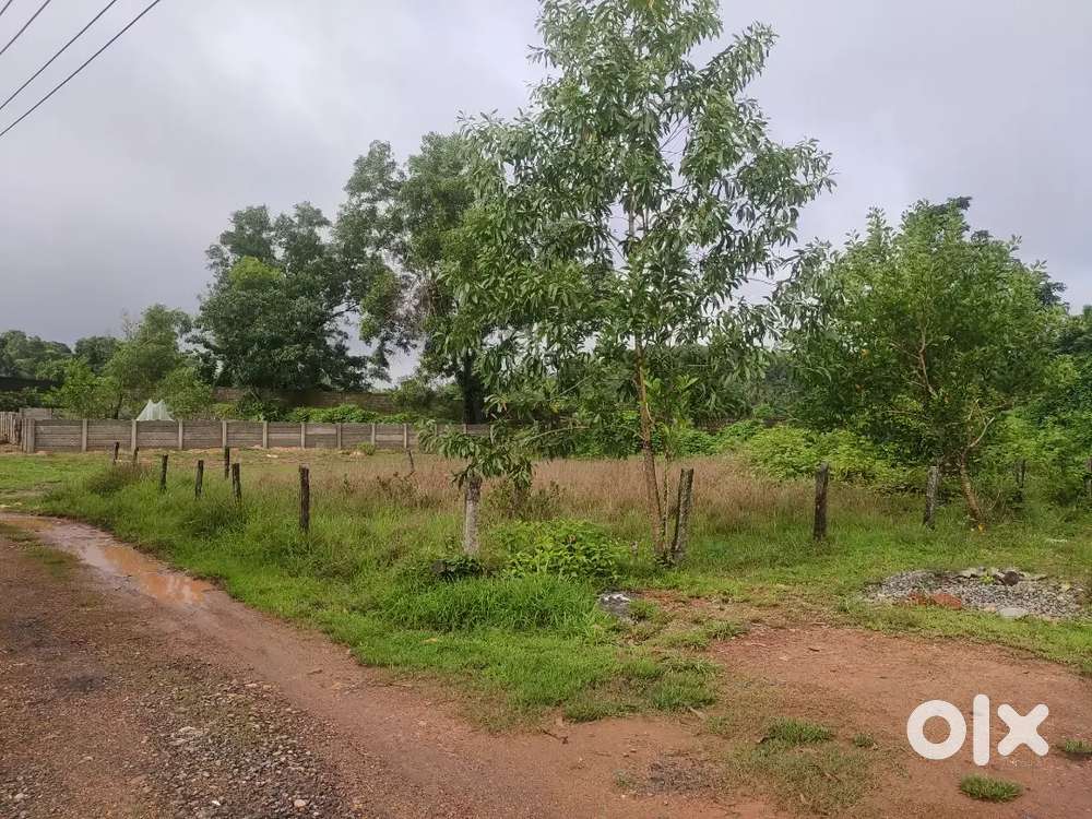 10 cents land for sale