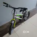 Bycycle Amaze Radiant