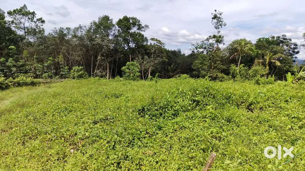 100 CENT HOUSE PLOT FOR SALE NEAR PIRAVOM