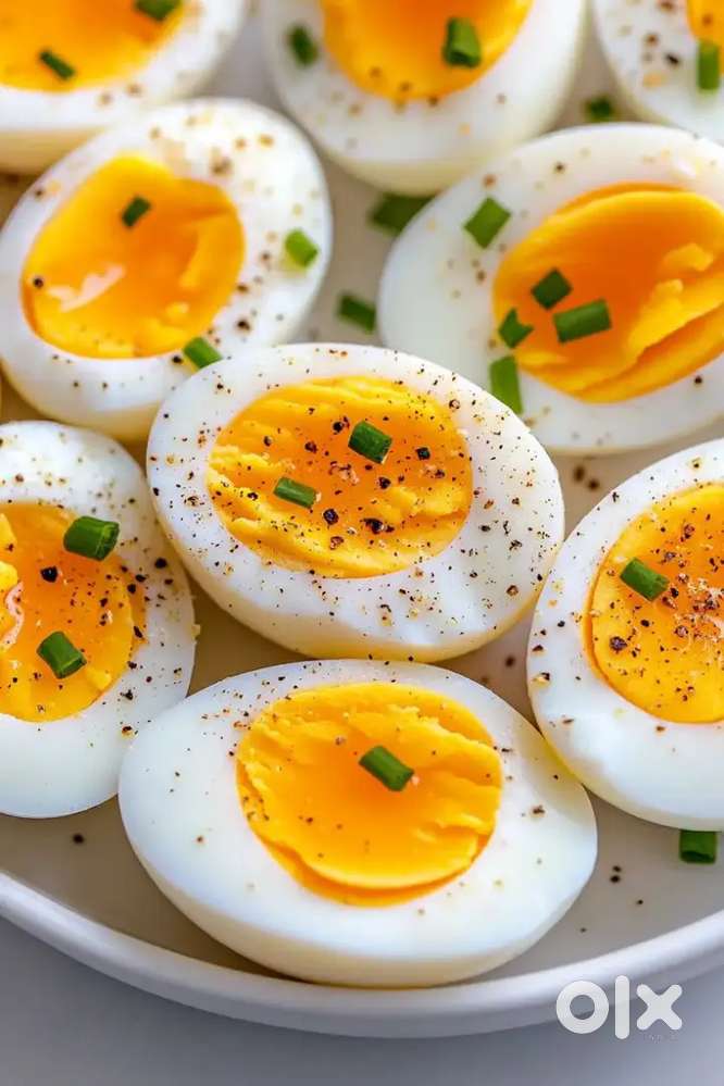Urgent Required :- All Types of Egg Cook // Egg Omlet Cook Egg Rice Co