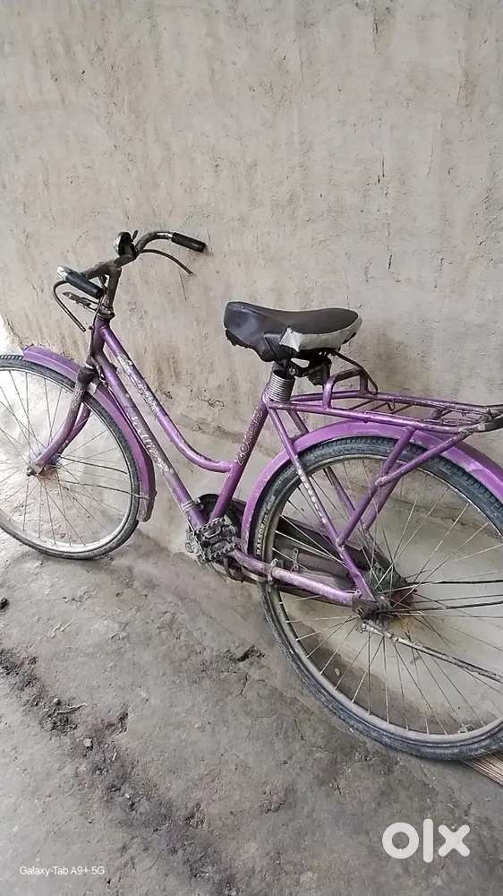 One of the best conditions  cycle for student