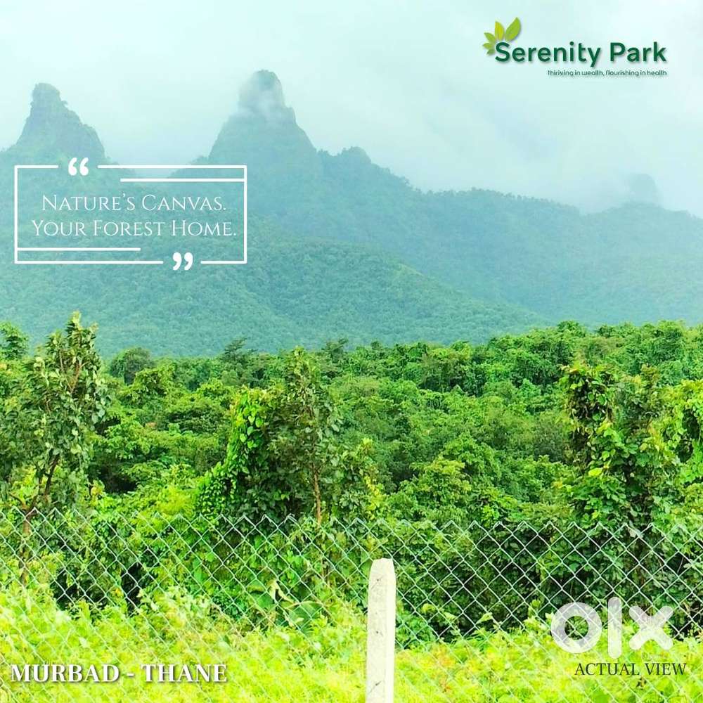 Your Second Home Story Begins Here