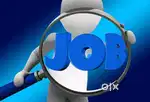 Sales Boy/Labour
