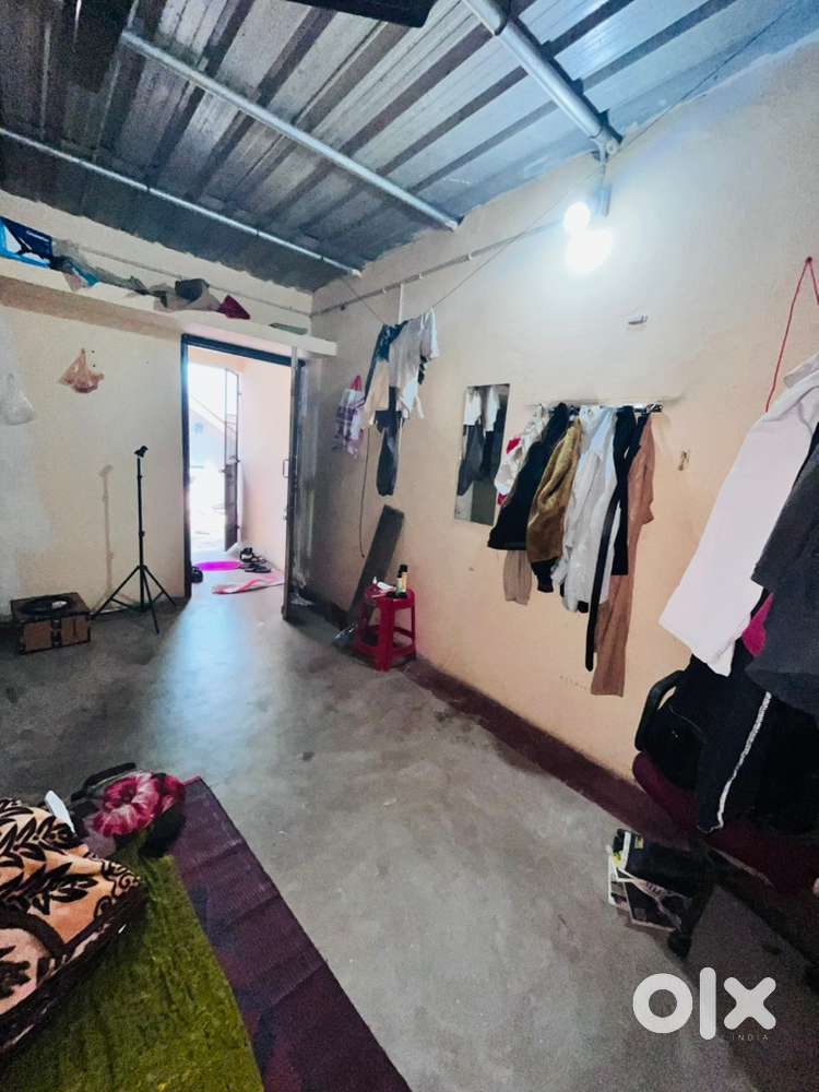 Need a eco friendly roomate (Age 18-23)