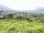 Kodaikanal Just 4km Main Bus stand 65 cent Land Sale Price cent 3Laks