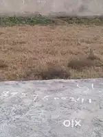Best plot best area