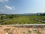1 bigha 3 katha land for sale in hill view area