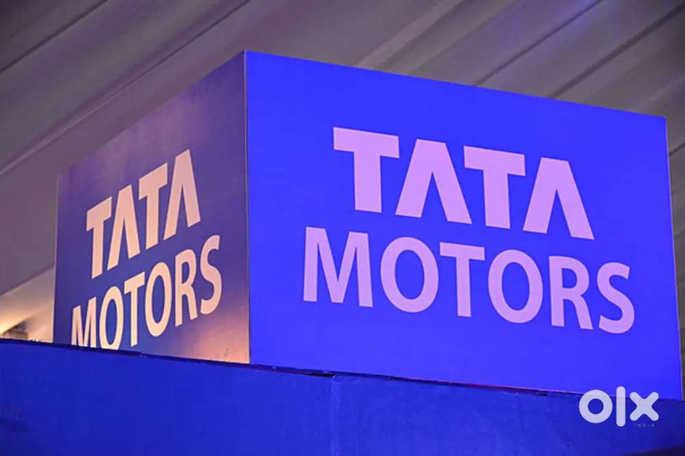 Team Leader & Sales Adviser -TATA Motors