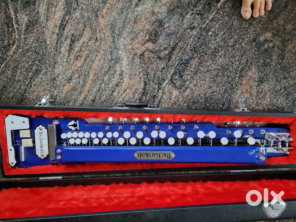 Bulbul Tarang Hard Case With Speaker