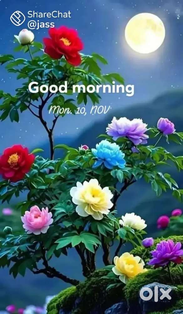 Hntda approved site per sq feet 2100