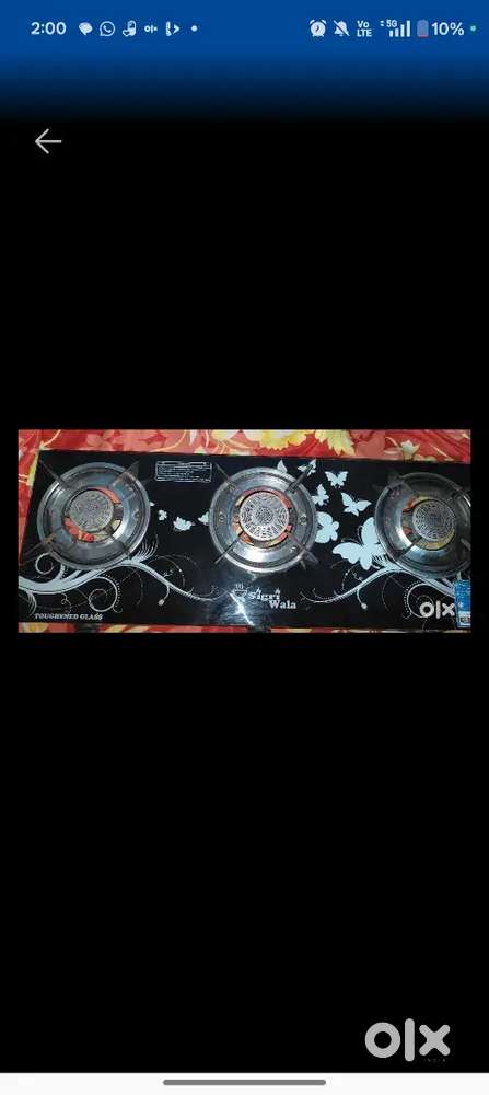 3 month hoisa lua kabak lagila jonabo