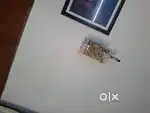 Fancy Lights