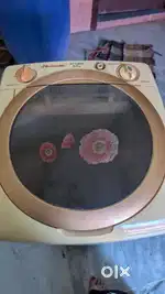 Butterfly brand washing machine