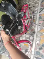 Single speed cycle for girls fix rate