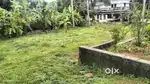 10 cent padam view house plot for sale chottanikkara Eruvely