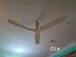 Ceiling Fan