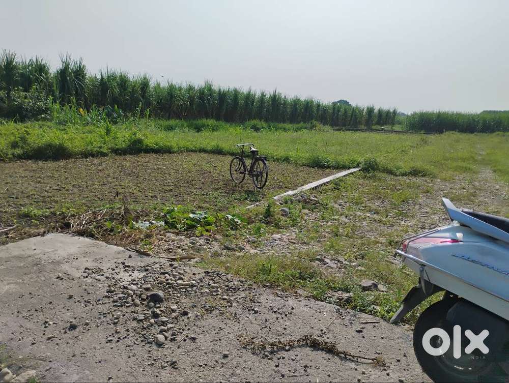 Plot in Kheri (Doiwala) with 20 ft road