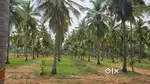 FARMLAND SALE IN MADURAI