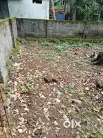 2.30 cent square plot for sale at vilavoorkal