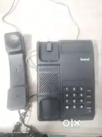 Beetal telephone