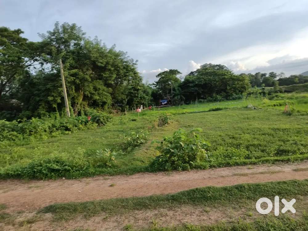 University road side jaga 10 ghunt darpanigarh Chandikhol Jajpur