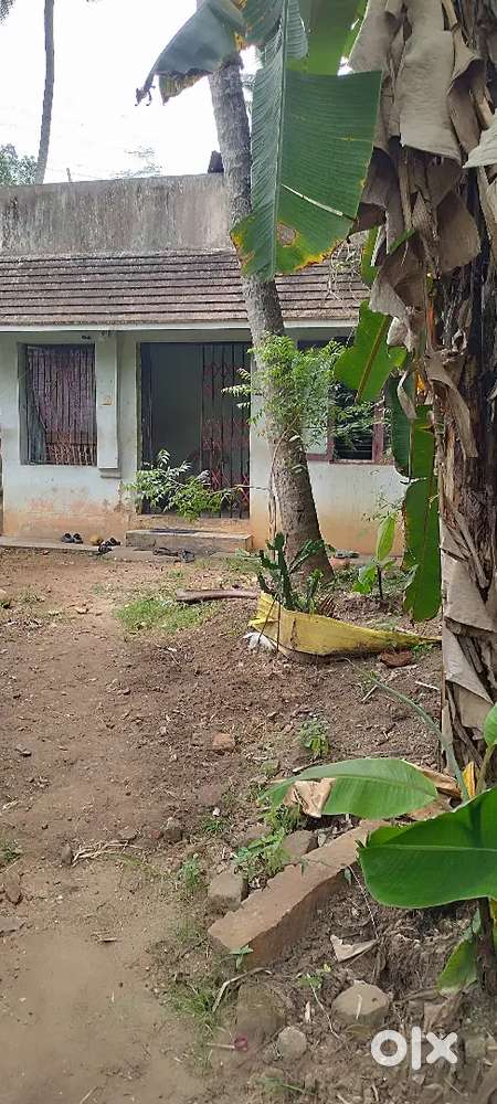 Land and house for sale