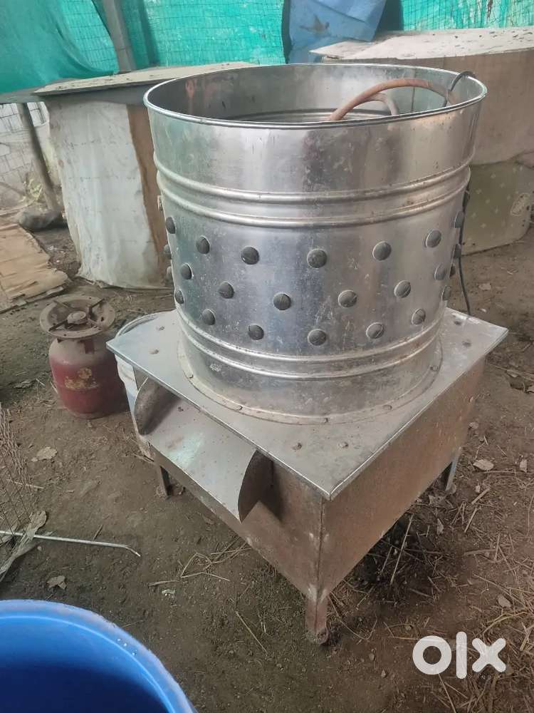 Poultry plucker/ hens defeathering machine.