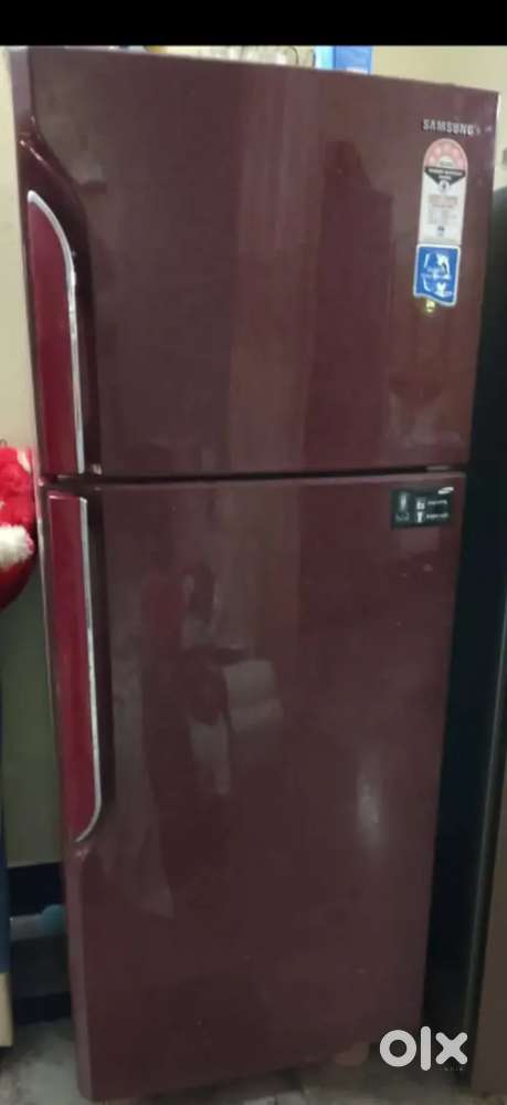 శంసుంగ్ డబల్ డోర్ ఫ్రిడ్జ్ 240liters