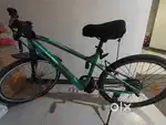 Electric cycle