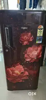 Fridge single door