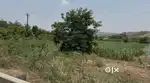 Bhose main road highway road touch land for sale