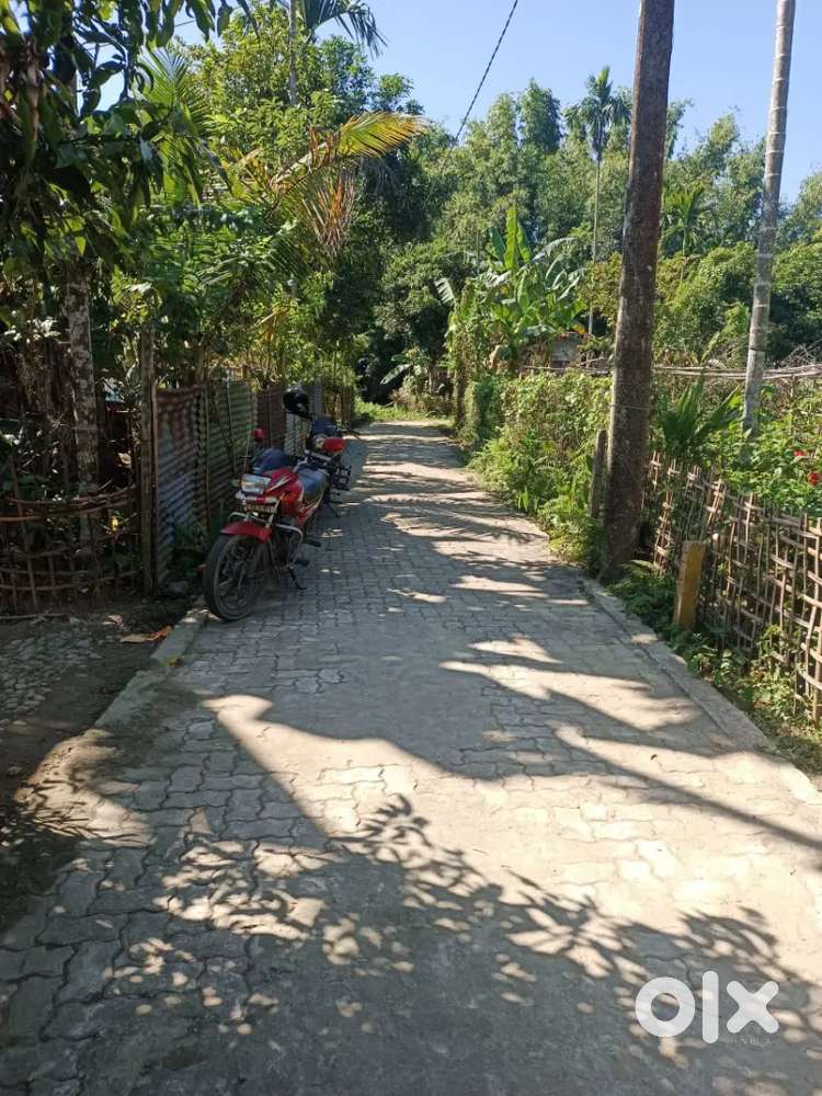 2katha myadi landfor saleDistance 900mtr from University& Komarnichiga