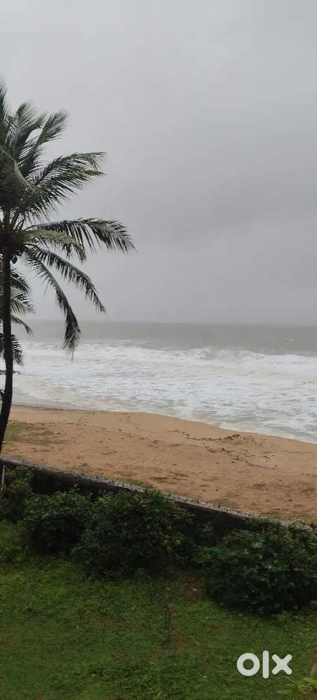 Front office ladies , service , night shift front office