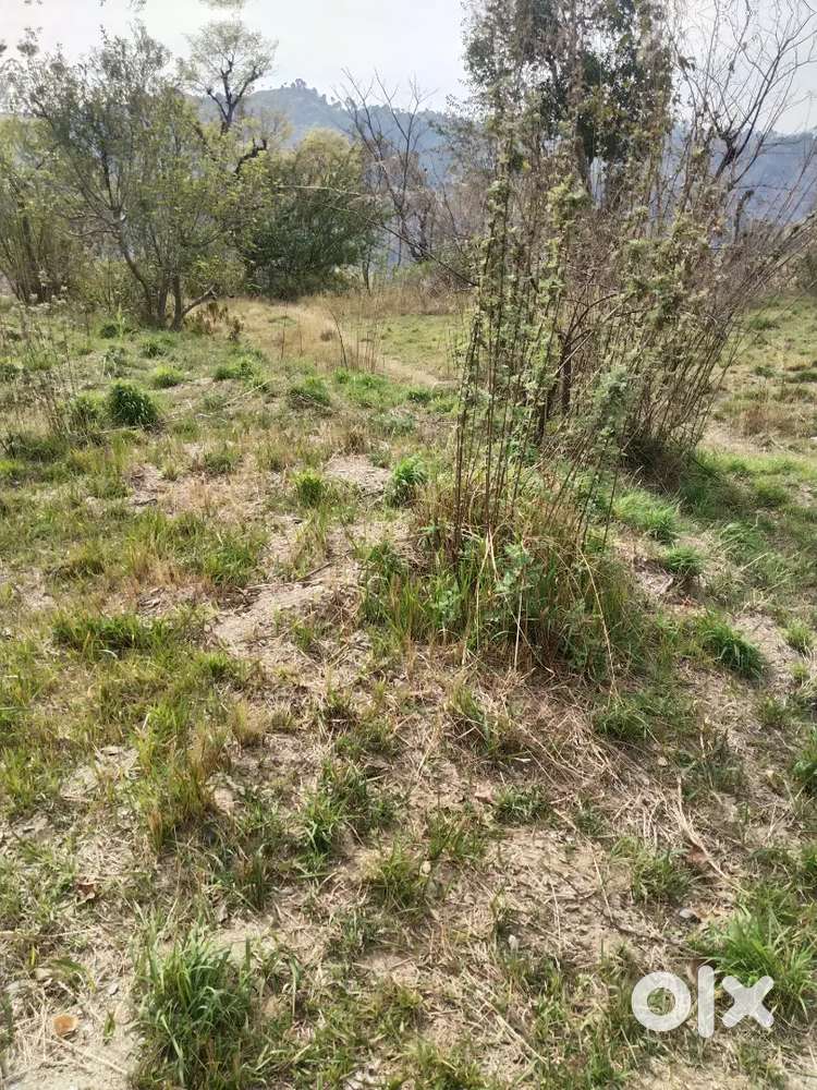 Land for sale in Ghanahhti