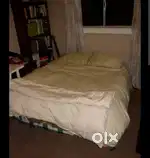 Only for male bachelor