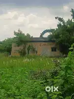 Plot no A-114Warora midc dambar road touch purab disha 8000 sqft plot
