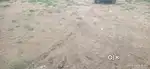 12000ft lot, Maswad halol-2