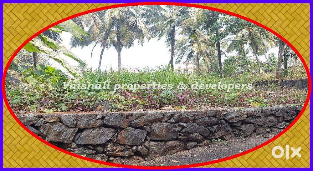 8 cents Residential Plot for sale in near Thondayad
