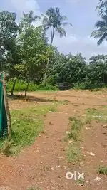 തലയോലപ്പറമ്പത്ത് പറമ്പിൽപണ