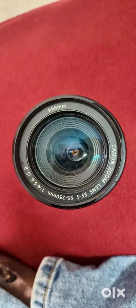 Canon efs 55-250mm lenses