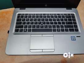 Hp Laptop's All Model Flat 50% Offer only @ Best Infotec