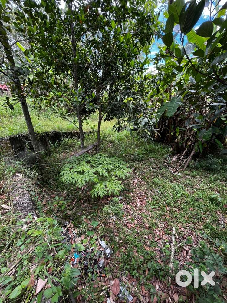 Residential Plot for sale nera pappanamcode - industrial estate